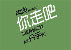 红猫大本猫营免费
